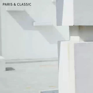 Paris & Classic Fashion Women Handbag*98973