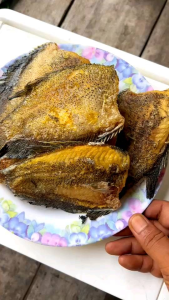 ปลาสลิดแดดเดียวทอด (ปลาสลิดจังหวัดสุพรรณแท้ๆ) น้ำหนัก 1 กิโลกรัม (น้ำหนักก่อนทอด)