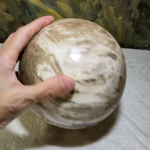 4.5 kg Premium hand polished Petrified Wood many unique patterns feng shui globe ball 精品木化石多天然图形人工切割打磨镇宅风水球 #8
