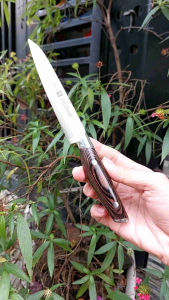 Dao gọt trái cây cao cấp cán gỗ sồi hàng Đức dài 23cm