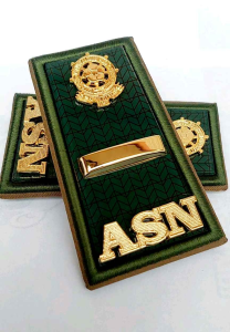 PANGKAT POLPP PPPK P3K GOLONGAN 9