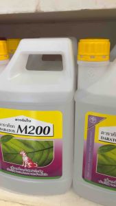 ผลิตภัณฑ์ในภาพคือ สารจับใบ ดาราท๊อก M200 ซึ่งเป็นสารเสริมประสิทธิภาพสำหรับพืช คุณสมบัติหลัก: ช่วยเพิ่มประสิทธิภาพในการจับติดผิวใบพืชของสารกำจัดศัตรูพืช หรือสารอื่นๆ ที่ใช้ฉีดพ่น เพื่อให้สารเหล่านั้นแพร่กระจายบนใบพืชได้อย่างทั่วถึงและลดการชะล้างจากน้ำฝน