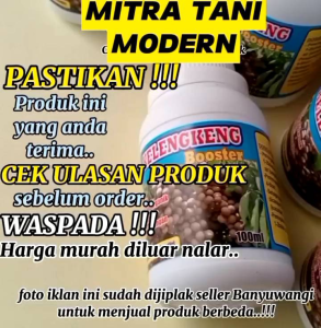 Pupuk Pelebat Kelengkeng + Fungisida Hama