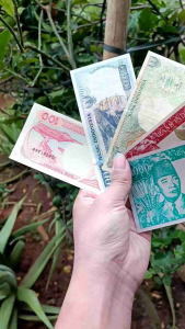 5 Lembar Uang Lama Indonesia Koleksi Vintage Uang Kuno Unik