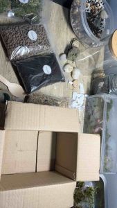 ชุดวัสดุ จัดสวนขวดโหล DIY