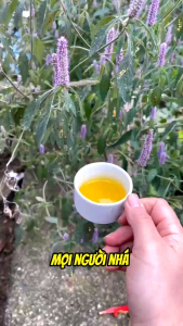 MẬT ONG BẠC HÀ PO MỶ OCOP HÀ GIANG 1 LÍT MẬT ONG BẠC HÀ NGUYÊN CHẤT ĐẶC SẢN CAO NGUYÊN ĐÁ