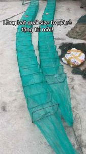 Lưới Lồng Bát Quái Dùng Bắt Tôm Cua Lươn Trạch Đủ Kích Cỡ