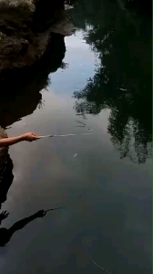 Joran Wader Lentur/Joran Ikan Wader Murah /120cm