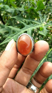 Natural Raflesia Bengkulu