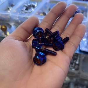 Heng Universal Heatguard Bolts (Sold as Pair)