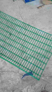 battery cage 3door Coated green for chicken hen itlogan.