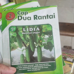 BENIH bibit MENTIMUN UNGGUL LIDIA 20 gr