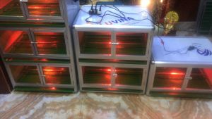 Chuồng úm gà con giá rẻ