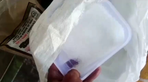 Pupuk Za petro kemasan Repack 1kg pupuk Za Original 100%