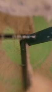 Bánh Đậu Xanh Nướng QNA Farm gói 160g