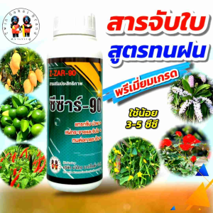 [ส่งฟรี] ตราเงาะคู่ ซีซ่าร์-90 สารเสริมประสิทธิภาพ นำพา แทรกซึม แผ่กระจาย จับใบ