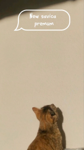 Sandal Jepit Savica kualitas Premium Sandal jepit Outdoor