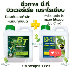 ชุด 2 แกลลอน บิวเวอร์เรีย เมธาไรเซียม และ  BT บีที ขนาด 1 ลิตร กำจัดเพลี้ย แมลง หนอน ไร้สารเคมี ผัก ข้าวโพด แตงกวา นาข้าว สลัด เคล กุหลาบ ไม้ดอก