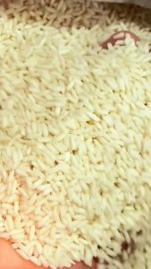 45กก บัวจันทร์ข้าวเหนียวสันป่าตอง ข้าวตราบัวจันทร์45กิโลกรัม เกรดพรีเมี่ยม ข้าวสะอาดคัดชั้นดี ตรงปก ถูกใจ ผู้ผลิตซื่อตรงคบได้ ข้าว อร่อย นิ่ม สวย