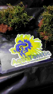 Stonemoss live aquatic plants