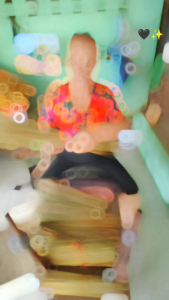 ไม้กวาดดอกหญ้า