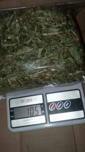 Teh Daun Katemas Kering 100=Gram /Daun Sena Kering/ Penurun Berat Badan Kualitas Asli Produk Di Keringkang Secara Alami