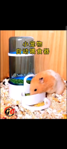 Hanging Cage Bird and Small Animal Automatic Food Feeder / Water Dispenser (Hamster Sugar Glider Hedgehog Birds)