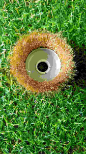 Hộp 2 cái chén cước chà sắt đánh rỉ dày 3cm