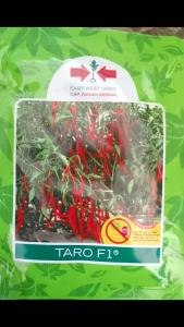Benih Cabe Keriting Taro F1 Isi 2000 Biji - Cap Panah Merah