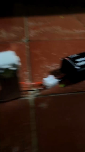 Modul Pesawat 2 CH ( 2x Kedip ) 12/24 Volt-Modul Saja