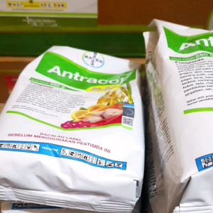 Antracol 70 WP + zinc 250 gr Fungisida Tanaman