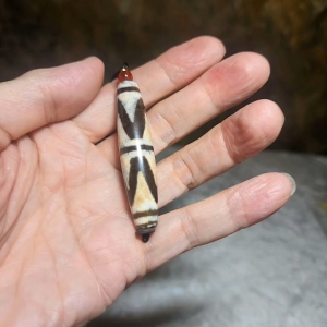 Gegegems Collection 57.6mm aged Tibetan Huya Dzi pendant with very fine red spots (with certificate) 精品藏传老矿满细朱砂虎牙天珠(带证书)