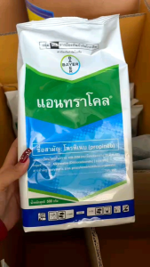 แอนทราโคล (70% WP) 500 g กำจัดเชื้อรา สารป้องกันโรคใบจุดสีน้ำตาล ราดำ ราคาที่สะดวก