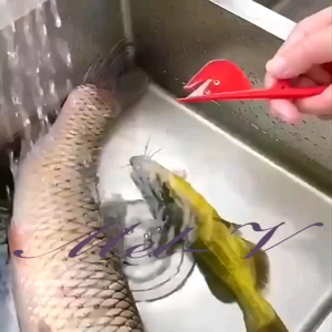 Pisau Pembersih Usus / Tangding Alat Pembersih / Pisau Mini / Silet Ikan / Sudet Ayam / Pembelah Kotoran Usus Ayam