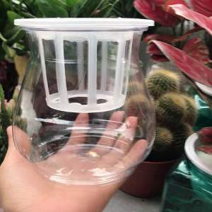 Chậu trồng cây thuỷ sinh thuỷ canh giả thuỷ tinh siêu đẹp tặng kèm giá đỡ cốc thuỷ sinh