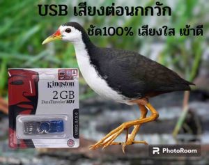 USB เสียงนกกวัก เสียงดังฟังชัด 100% เปิดวนได้ทั้งคืน เสียงเพื่อการศึกษา