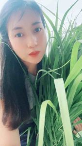 มูลาโต้ 2 พร้อม ปลูก เคลือสารเร่ง การงอก อัตรา สูง ประกอบสำเร็จ