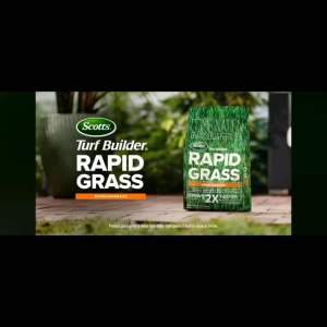 COD Benih Rumput Golf 50gram - Benih Rumput Golf 50gram