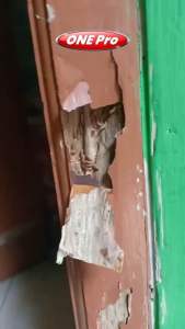 Spray Cairan Pembasmi Rayap Tanah | Rayap Kayu | Rayap Putih | Rayap Rumah | Kumbang Kayu | 100% Super Ampuh | Isi 450ml