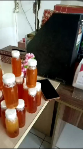 madu kelulut atau madu klanceng asli 100% murni 100ml