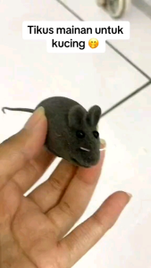 TIKUS MINI MAINAN KUCING BISA BUNYI