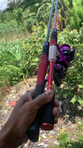 Joran zorro dwar 1.8M satu set reel dan joran zorro carera set