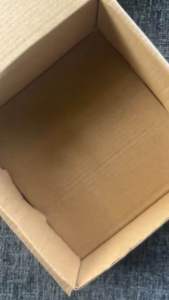 Bini Stacey Sevilleja Merch Box Kit for Blooms Perfect for Gift and Giveaways