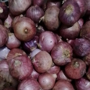 Bawang Merah India / Bawang Peking 1 kg