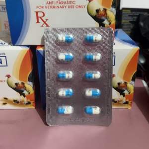 Anti Galis Anti Parasitic  250mcg capsule for gamefowl(10capsule) Anti Gali Anti Gali Tablet Price Precio De Tablet Cheap Galaxy Tablet - Lazada
