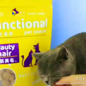 REPACKING 2pcs Freeze dried meat biscuits for cats and dogs main food meatloaf snack treats冻干 无谷生骨肉饼