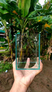 COD Akuarium Soliter Akuarium Ikan Cupang Akuarium Mini Akuarium Ukuran 10x10x15 free pelet untuk 10 pembeli pertama Harga Grosir Akuarium soliter Mini