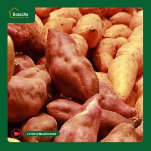 Ubi Madu Cilembu Spek AB C Super - Ubi Cilembu Asli Berkualitas 1 Kg