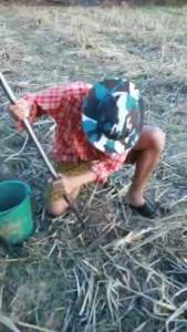 น้ำปูร้าตราเชฟใหญ่