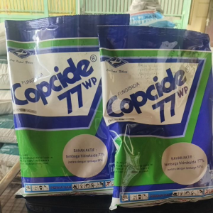 FUNGISIDA COPCIDE 77 WP 1KG